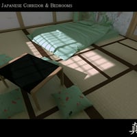 Japanese Corridor and Bedrooms Environment | Daz 3D