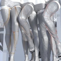 Leg Chains for Genesis 3 and Genesis 8 Female(s)