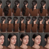 Daz Studio 3D NG 3-in-1 Low Ponytail Hair Accessories - Set 2 Model