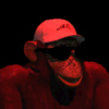 RedMonkeyRon