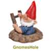 gnomeshole